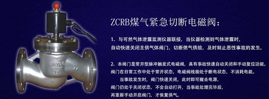 燃?xì)饩o急切斷閥 燃?xì)饩o急切斷閥
